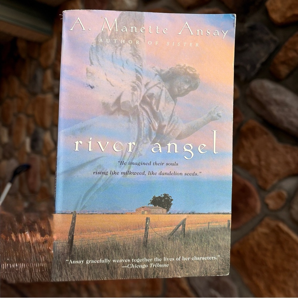 BOOK Paperback fiction “River Angel”